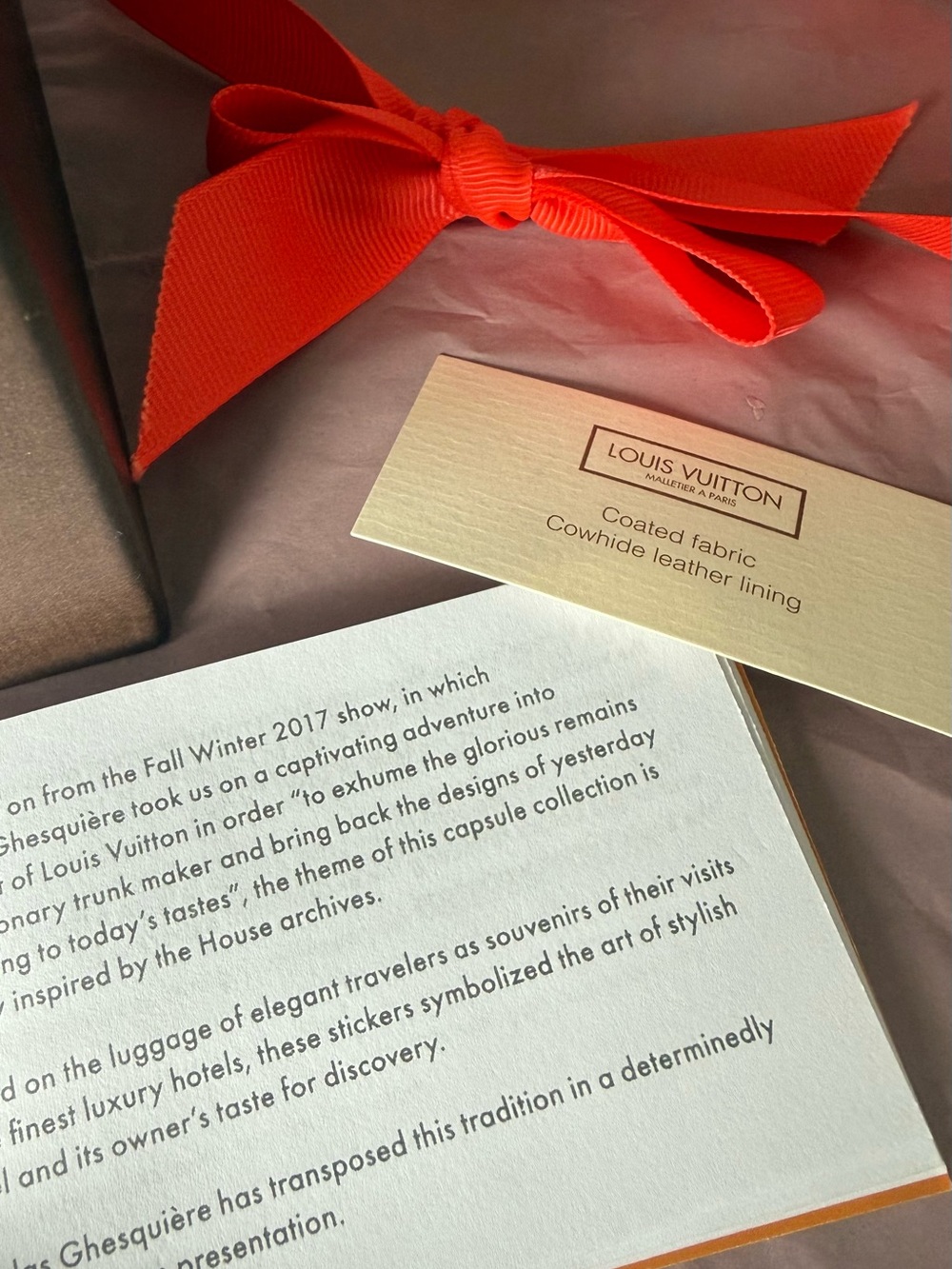 Louis Vuitton Gift Box with Ribbon & Care Booklet - Picture 8 of 11